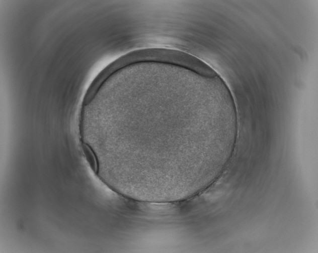 X0000110891152200907091348