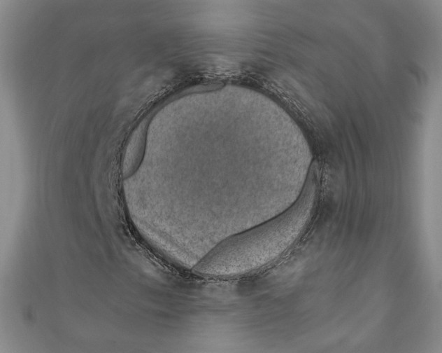 X0000110891153200907091348