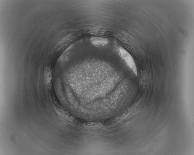 X0000110891154200907091348