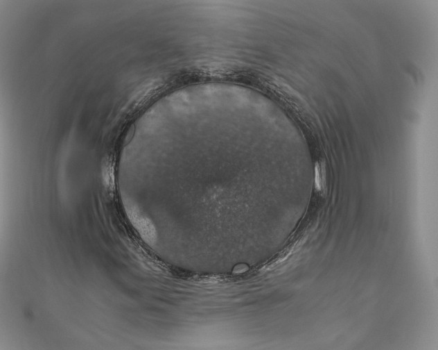 X0000110891155200907091348