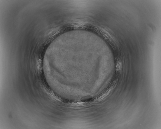 X0000110891156200907091348