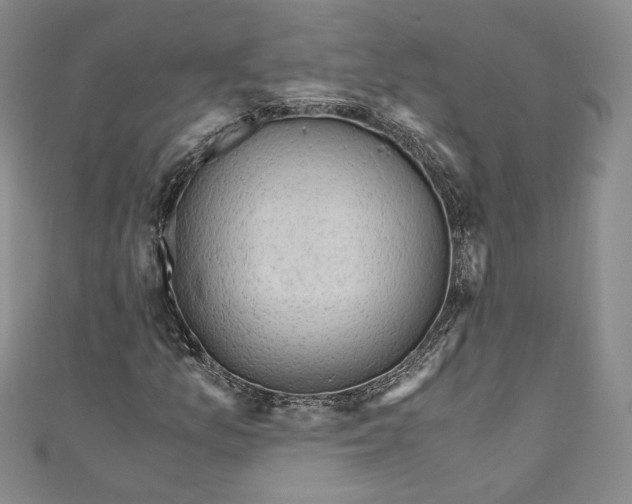 X0000110891157200907091348