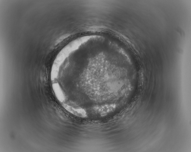 X0000110891158200907091348