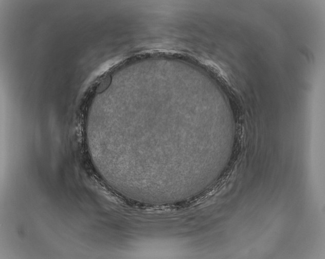 X0000110891159200907091348