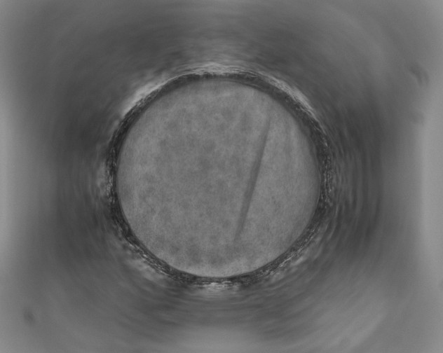 X0000110891160200907091348