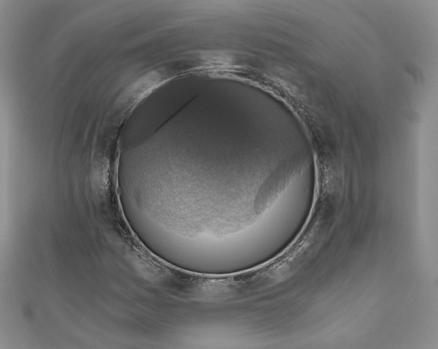 X0000110891161200907091348