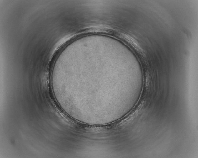 X0000110891164200907091348