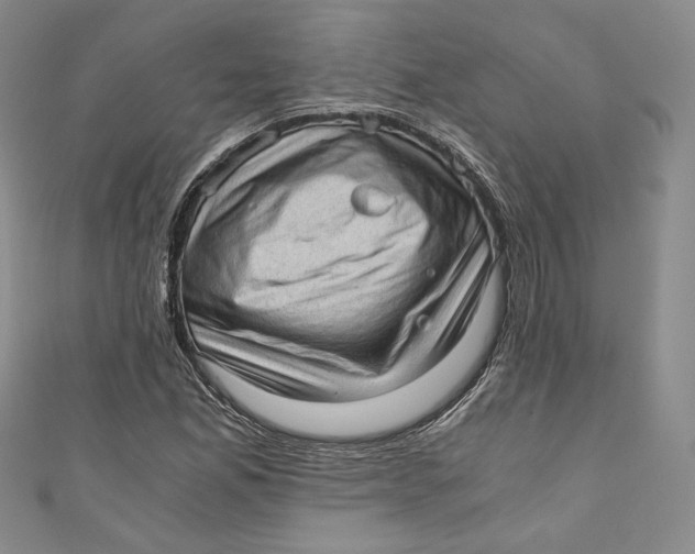 X0000110891165200907091348