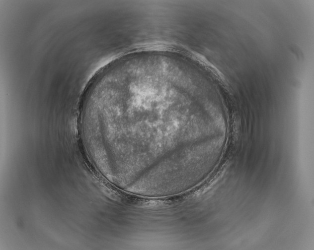 X0000110891166200907091348