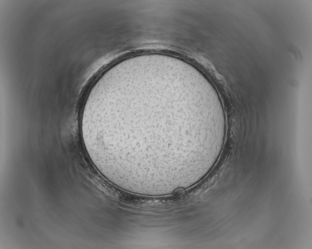 X0000110891167200907091348