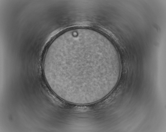 X0000110891168200907091348