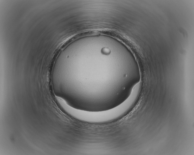 X0000110891169200907091348