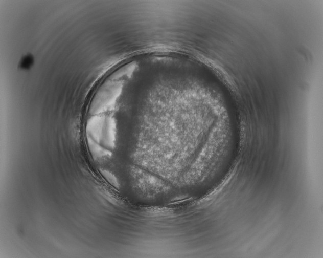 X0000110891170200907091348