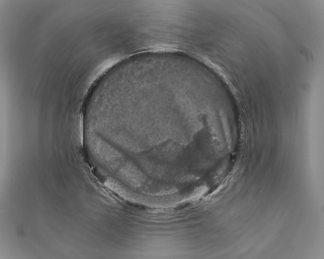 X0000110891171200907091348