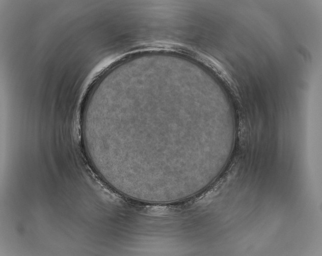 X0000110891172200907091348