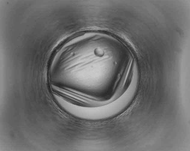 X0000110891173200907091348