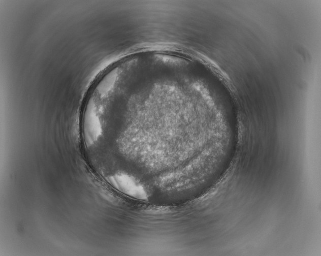 X0000110891174200907091348