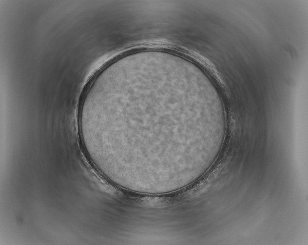 X0000110891176200907091348