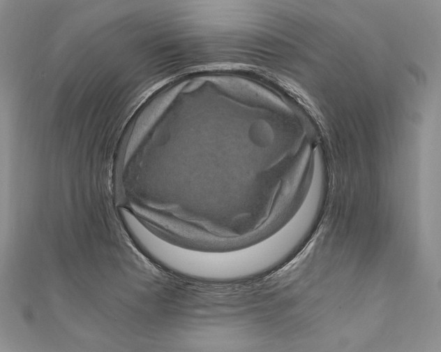 X0000110891177200907091348