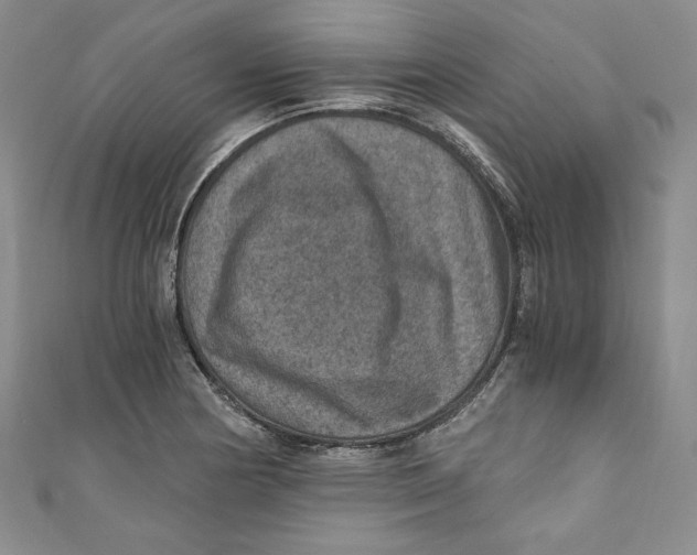 X0000110891178200907091347