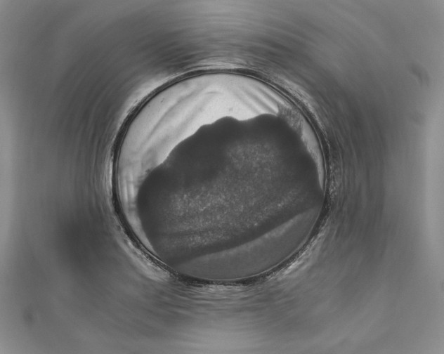 X0000110891179200907091347