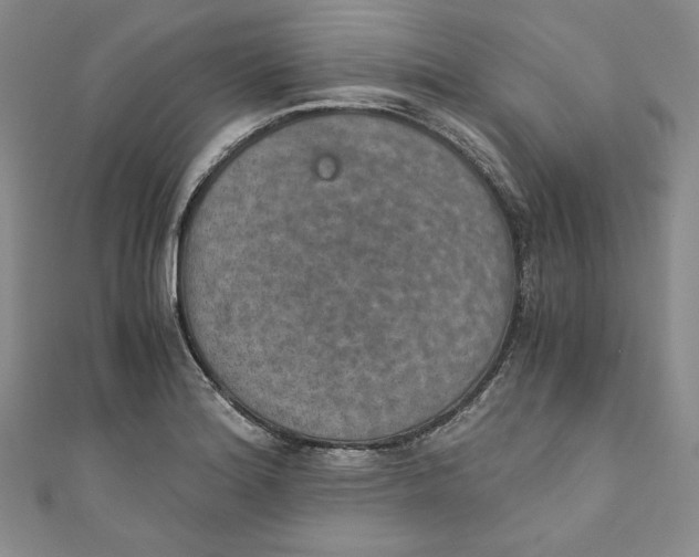 X0000110891180200907091347