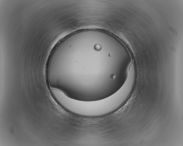 X0000110891181200907091347