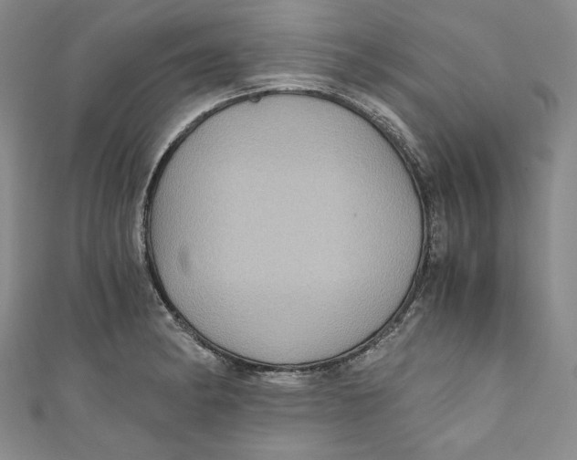 X0000110891182200907091347