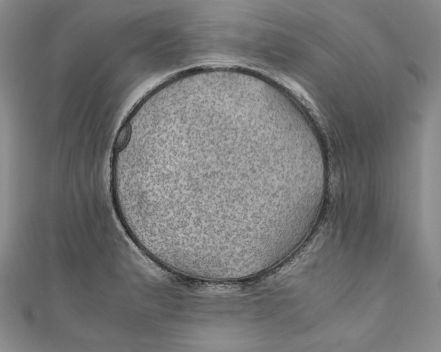 X0000110891183200907091347