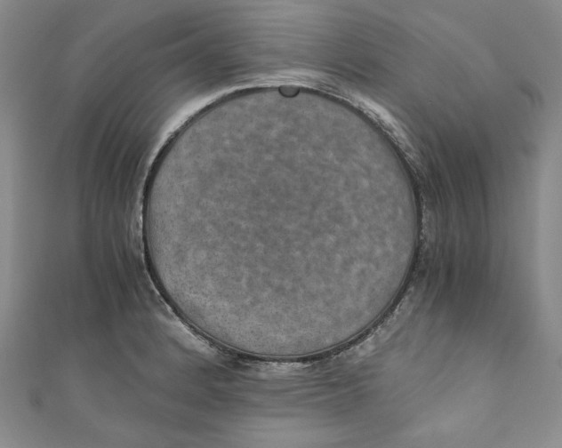 X0000110891184200907091347