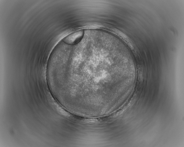 X0000110891186200907091347