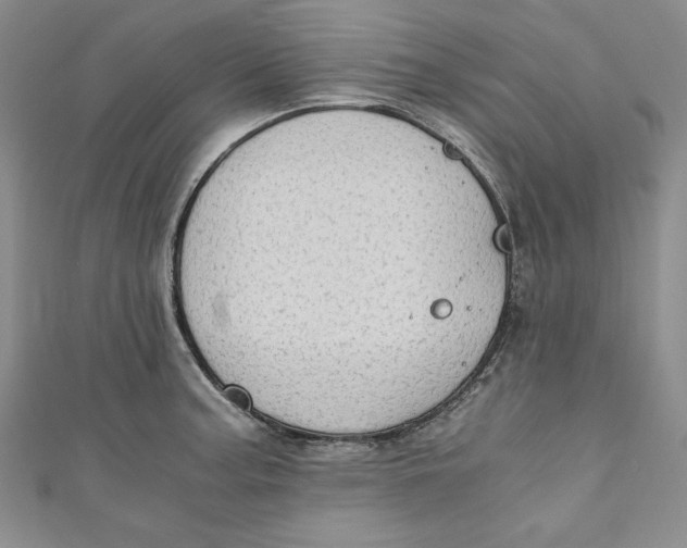 X0000110891187200907091347