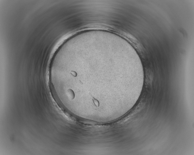 X0000110891188200907091347