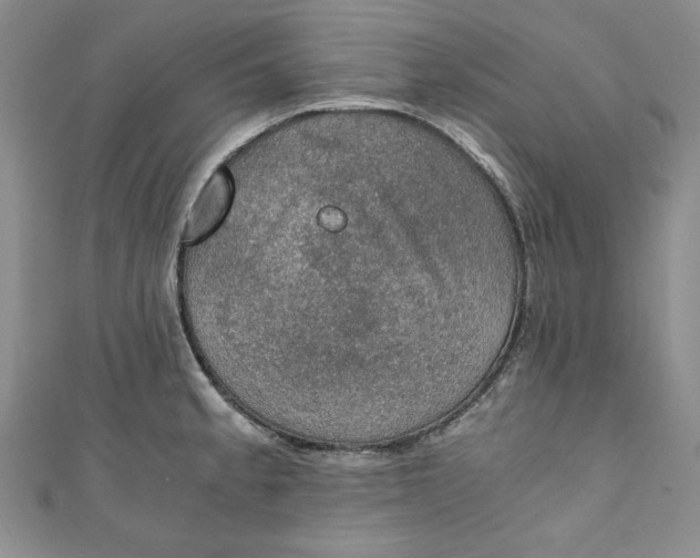 X0000110891189200907091347