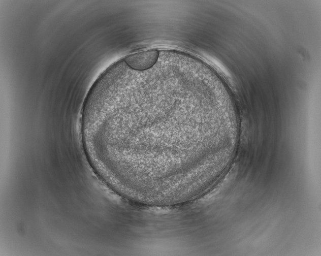 X0000110891190200907091347