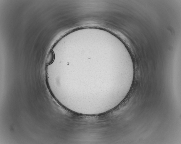 X0000110891191200907091347