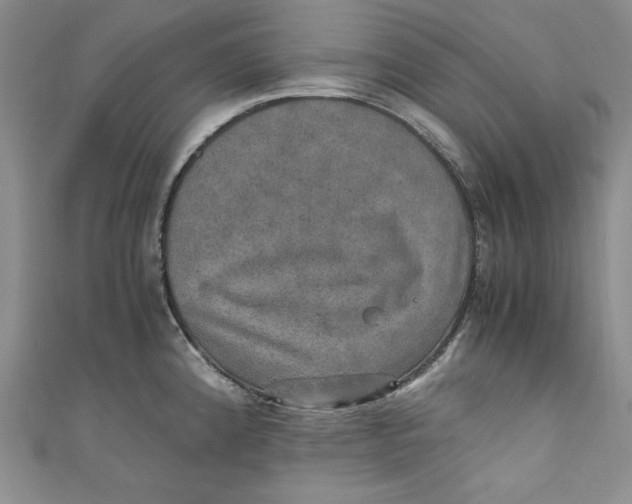 X0000110891192200907091347