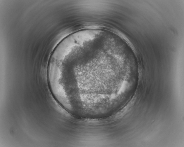 X0000110891194200907091347