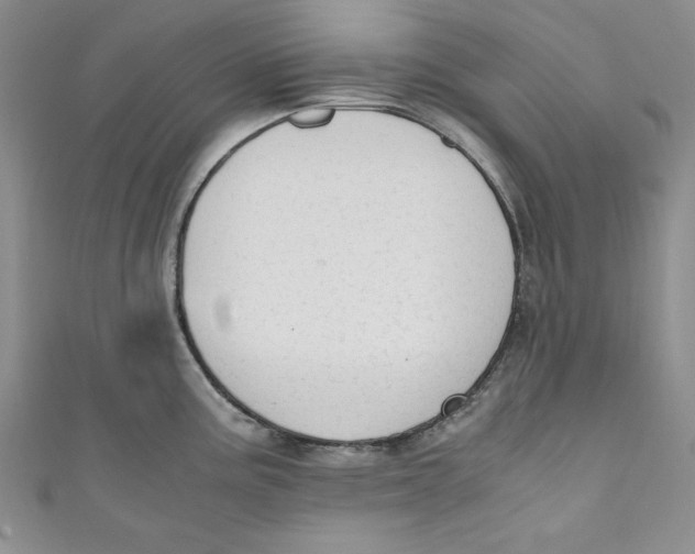 X0000110891195200907091347