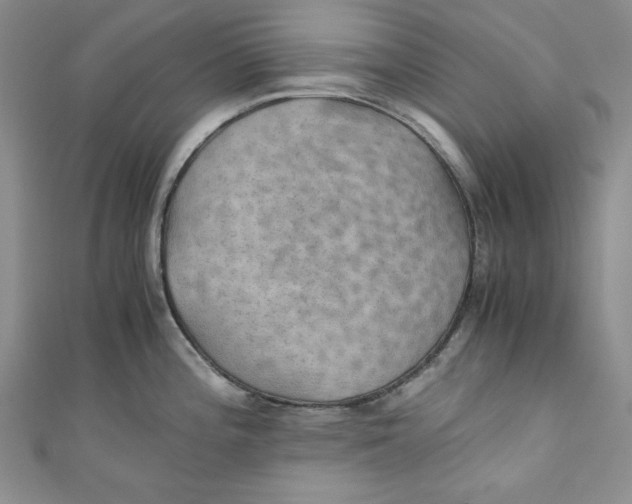 X0000110891196200907091347