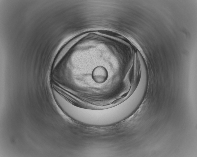 X0000110891197200907091347