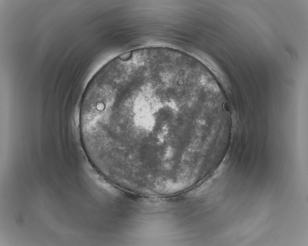 X0000110891198200907091347