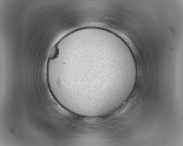 X0000110891199200907091347