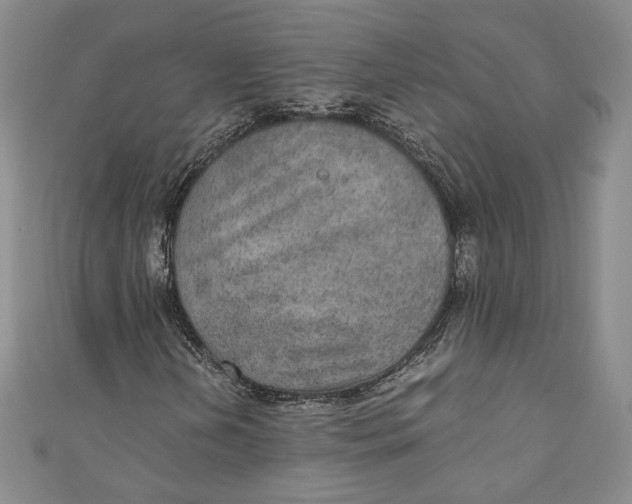 X0000110891202200907091347