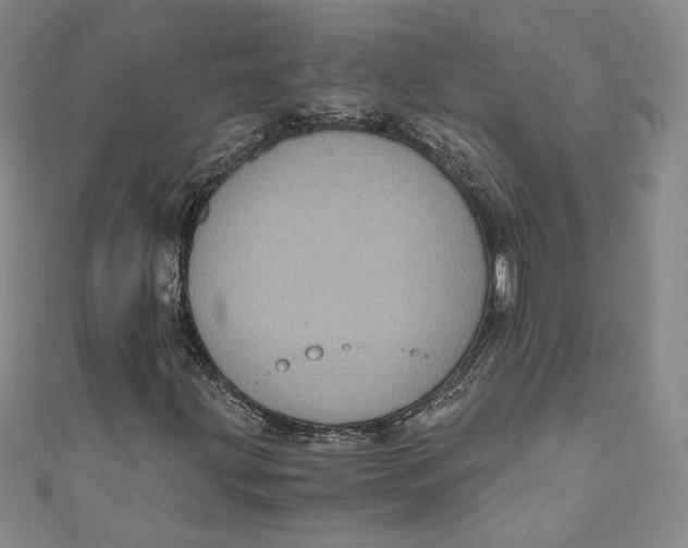 X0000110891203200907091347