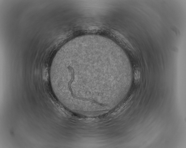 X0000110891204200907091347