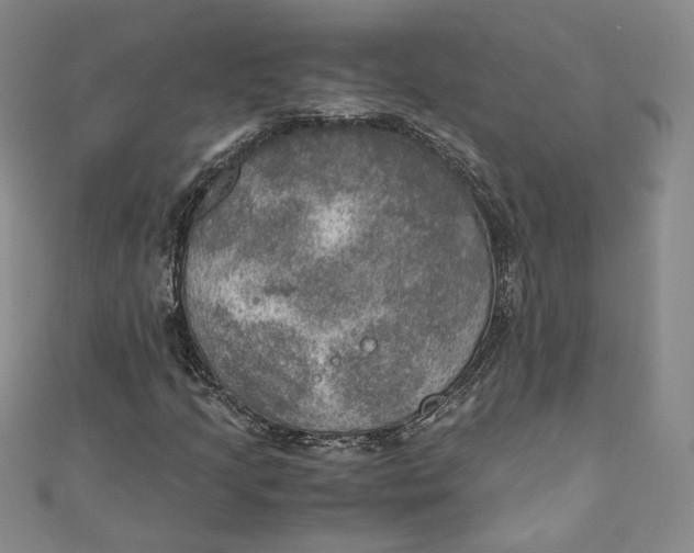 X0000110891205200907091347