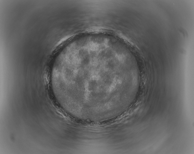 X0000110891206200907091347