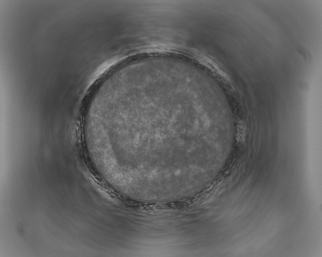 X0000110891208200907091347