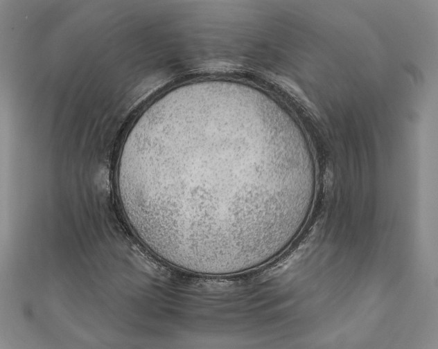 X0000110891209200907091347